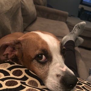 Meet your Posher, Carla